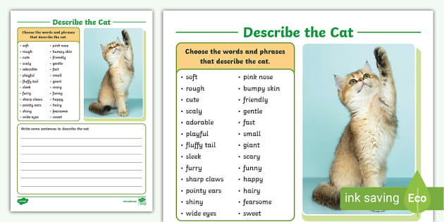 describe-the-cat-writing-activity-sheet-profesor-hizo
