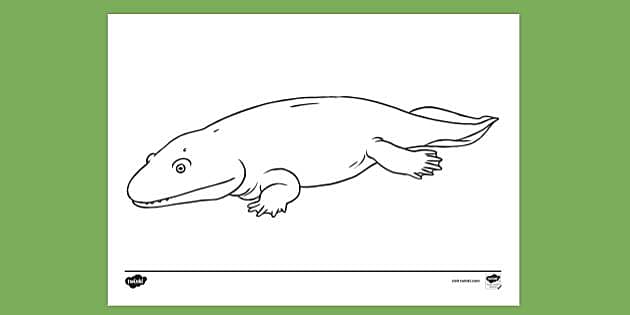 Ichthyostega Colouring | Colouring Sheet - Twinkl