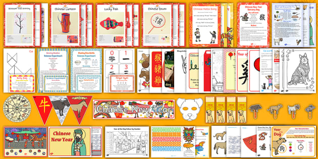 difference between chinese new year and new year