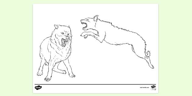 fighting wolf drawings