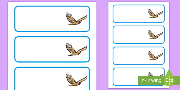 Buzzard Themed Editable Drawer-Peg-Name Labels (Colourful)