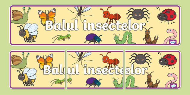 Balul insectelor – Banner (Teacher-Made) - Twinkl