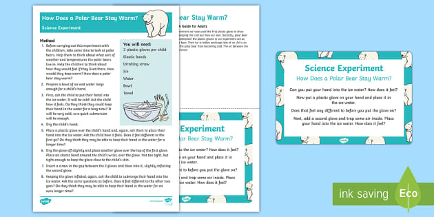 Arctic Animals Preschool Science: Blubber and Ice Explorations! • The  Preschool Toolbox Blog