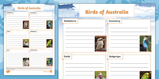 Birds of Australia Fact File Template (teacher made)