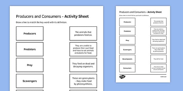 producers-and-consumers-match-and-draw-twinkl