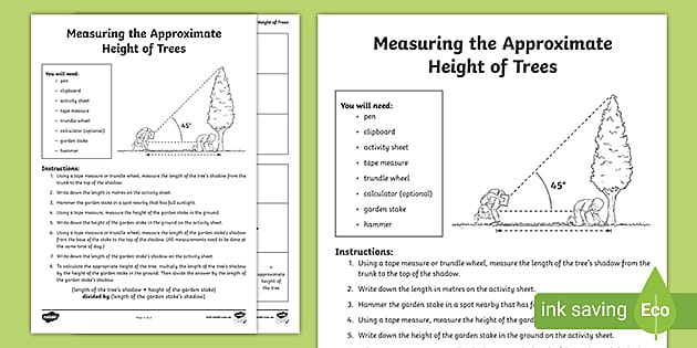 Exactly measuring tree height