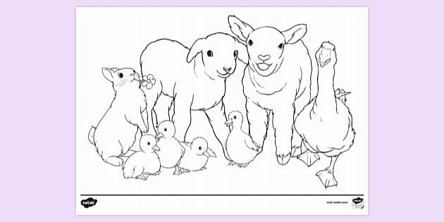 FREE! - Spring Animals Colouring Page - Creative Activity for Kids