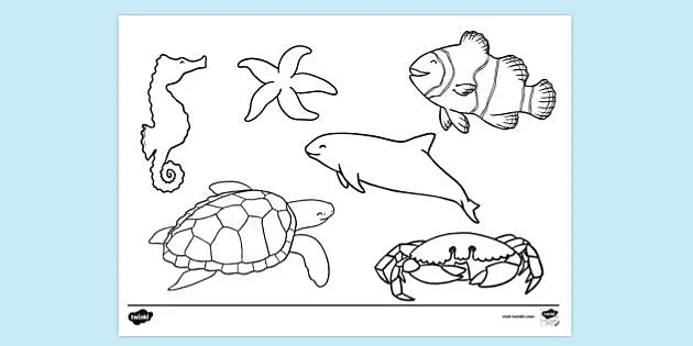 Colouring Pages of Tropical Animals for Kids (teacher made)
