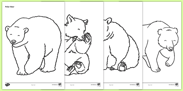 54 Collections Printable Coloring Pages Bear Best