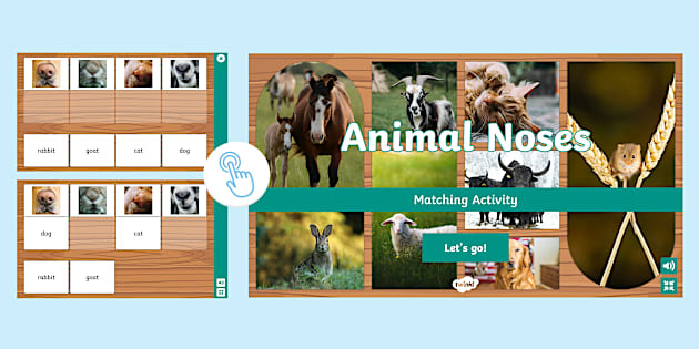 * NEW * Animal Noses Interactive Matching Game - Twinkl