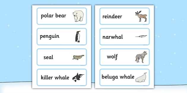 Kindergarten Arctic Animals Words Spelling Lesson.