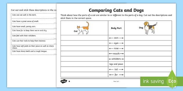 The differences and similarities between cats and dogs