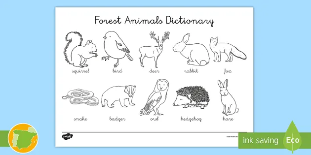 A1 Diccionario Para Colorear Animales Del Bosque En Ingles
