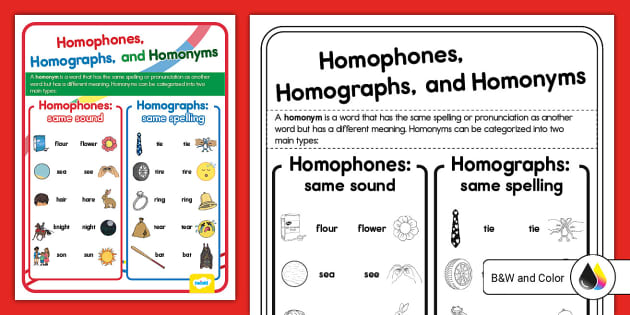 Homophones, Homographs, and Homonyms Poster (teacher made)