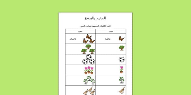 Spanish Grammar: Singular and Plural Activity Sheet - Twinkl