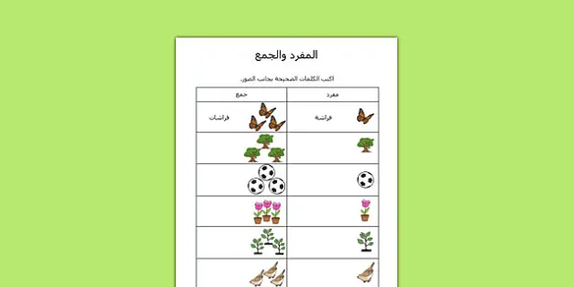 Garden Singular Plural Worksheet Arabic