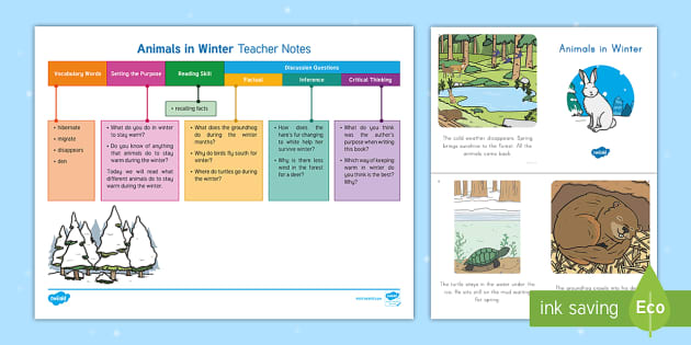 Animals in Winter Guided Reading Teaching Pack - Twinkl