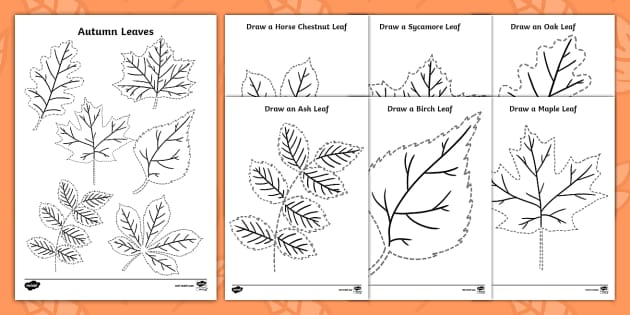 leaf drawing for kids