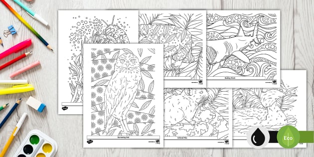 Canada's Endangered Animals Colouring Pages (teacher made)