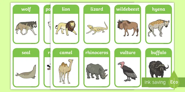 Wild Animals Flashcards | Primary Resources (teacher made)