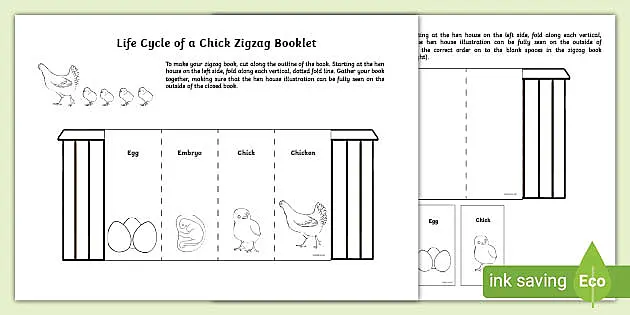 Duck Life Cycle Word Mat (teacher made) - Twinkl