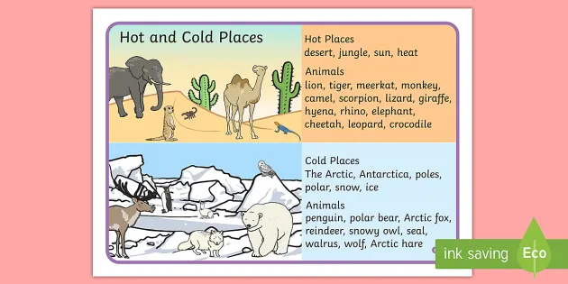 Hot and Cold Places and Animals Word Mat (teacher made)