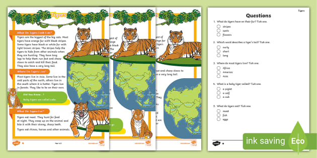 Non-Chronological Report About Tigers for Children, KS1