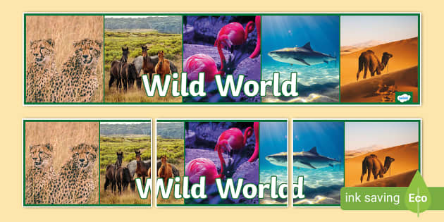 Wild World Display Banner,wild world (teacher made) - Twinkl