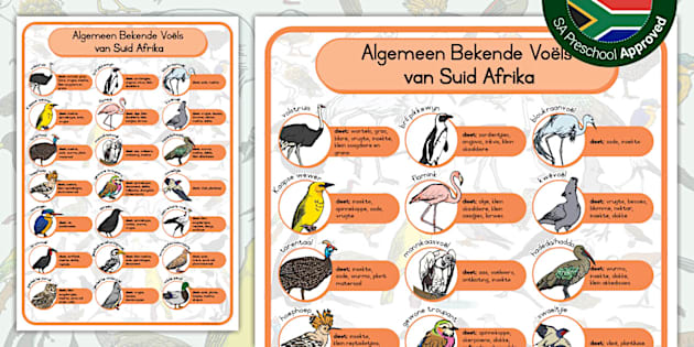 Algemeen Bekende Voëls van Suid Afrika Plakkaat - Twinkl