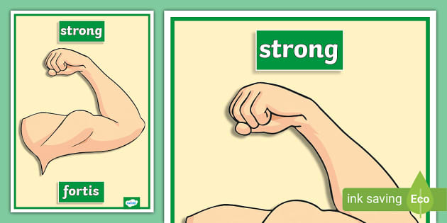 latin-word-for-strong-display-poster-professor-feito
