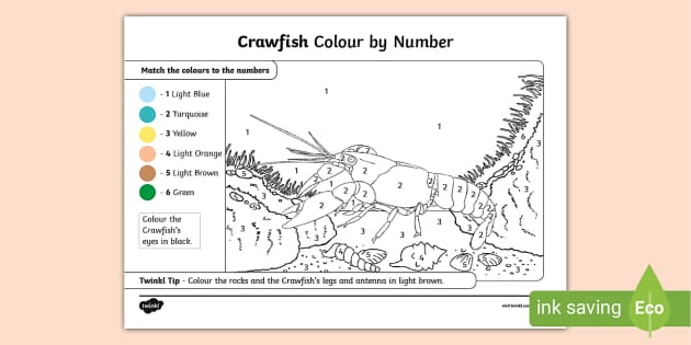 FREE! - Crawfish Colour by Number Activity, Twinkl Activities