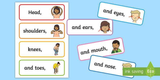 Head Shoulders Knees And Toes Word Cards (teacher Made)