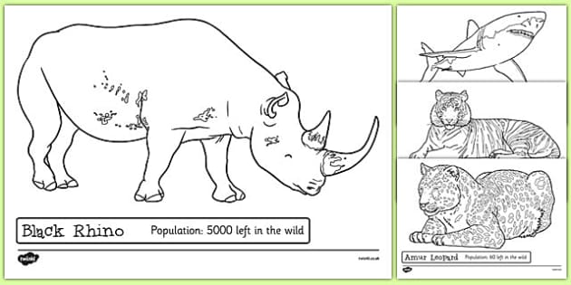 Endangered Animals Colouring Sheets endangered animals