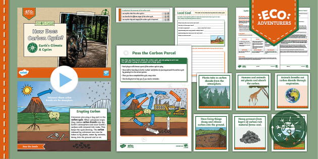 Year 4 Earth's Climate & Cycles: Lesson 2 - How Does Carbon Cycle?