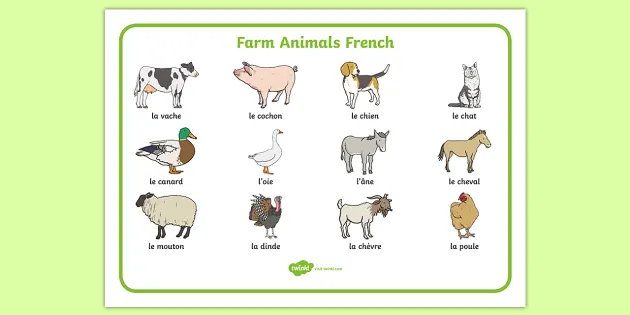 Farm Animals in French Word Mat (teacher made) - Twinkl