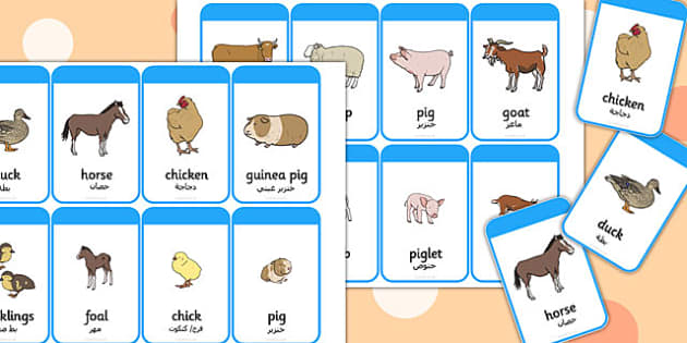 بطاقات تعليمية لكلمات عن حيوانات المزرعة وصغارها إنجليزي عربي