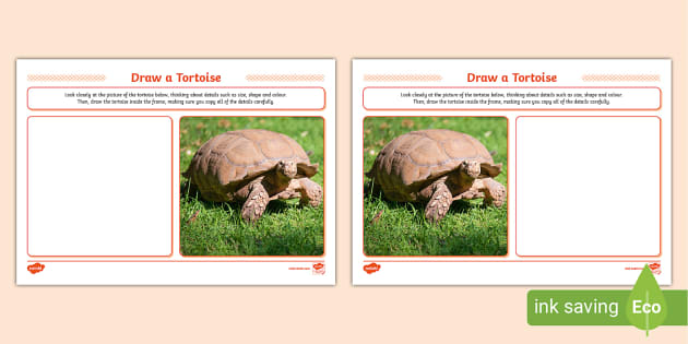 Tortoise Drawing Images – Browse 37,741 Stock Photos, Vectors, and Video |  Adobe Stock