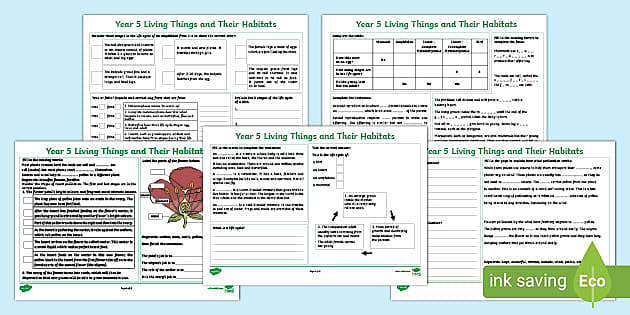 KS2 Year 5 Living Things And Their Habitats Revision Activity Mat