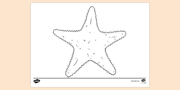 Starfish Craft (with FREE Printable Template) • In the Bag Kids