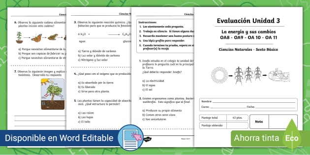 Evaluaci N Ciencias Naturales B Sico Unidad Twinkl