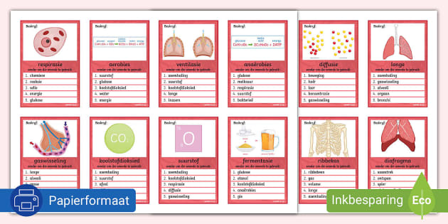 Respirasie en Gaswisseling Besprekings Aktiwiteit - Twinkl