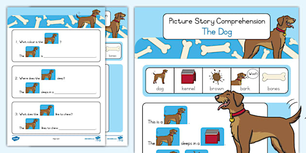 Picture Story Comprehension - The Dog (teacher made)