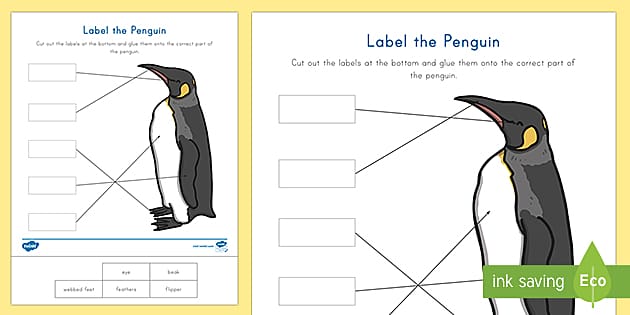 Label the Penguin Activity - worksheet resource twinkl