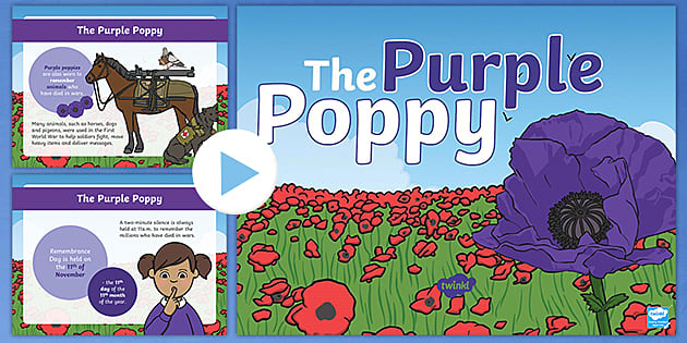 the-purple-poppy-powerpoint-teacher-made