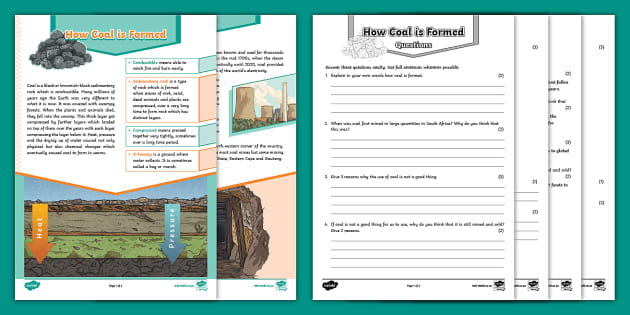 How Coal is Formed – Activity Sheet (teacher made)