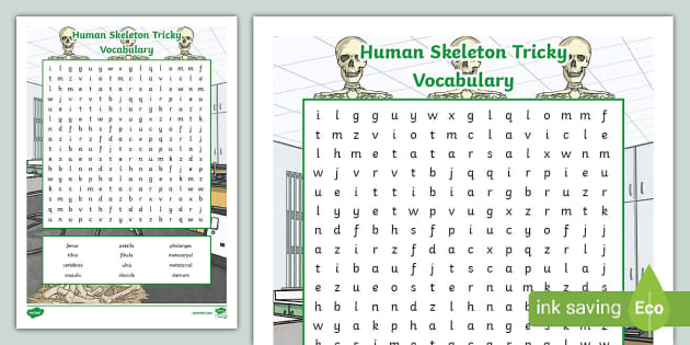 Human Skeleton Tricky Vocabulary Word Search - Twinkl