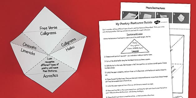 Recognise Different Forms Poetry Fold Reference Leaflet