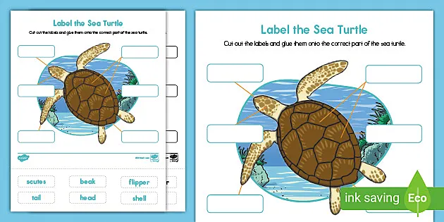 LER7303 Tartarughe gusci per Il riconoscimento di Forme e Colori Smart Splash Learning Resources
