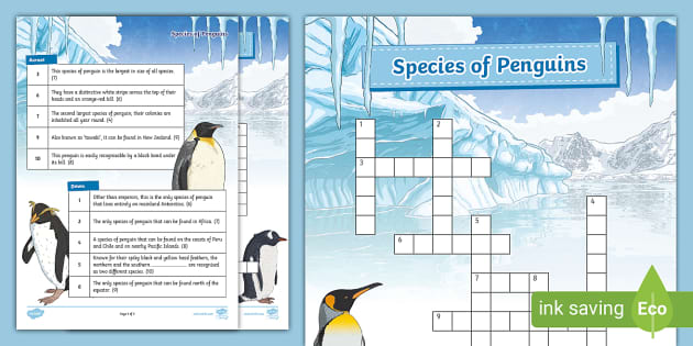 Penguin Species Crossword Twinkl KS2 Penguin Awareness Day
