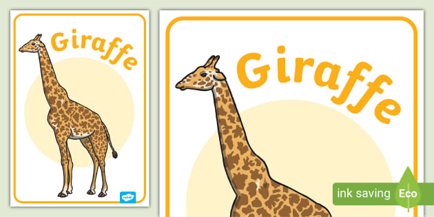 FREE! - Printable Giraffe Poster | Educational Resources | Twinkl